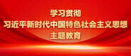 美女被爽xnxx学习贯彻习近平新时代中国特色社会主义思想主题教育_fororder_ad-371X160(2)